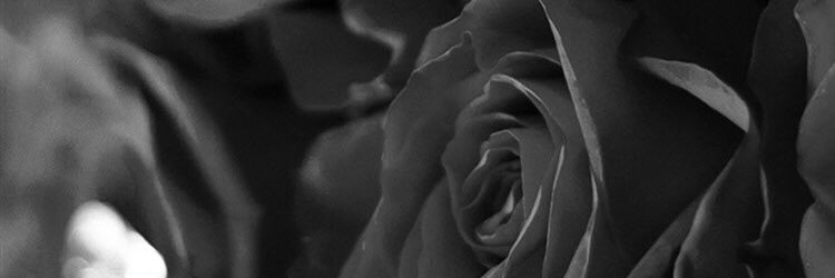 premary's profile banner image