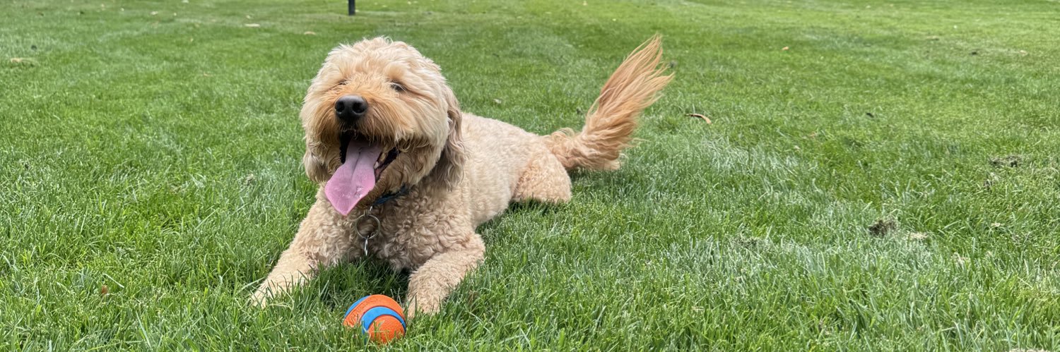 Matt Smidebush banner