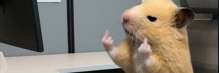 noah_dumb89's profile banner image