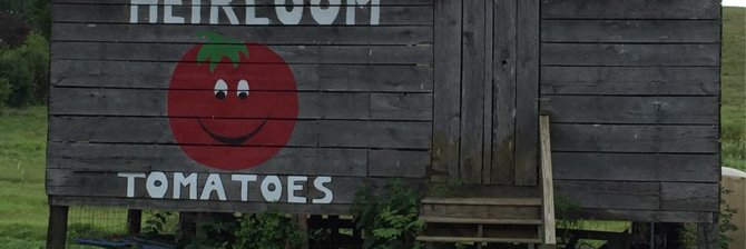Julia Ford banner
