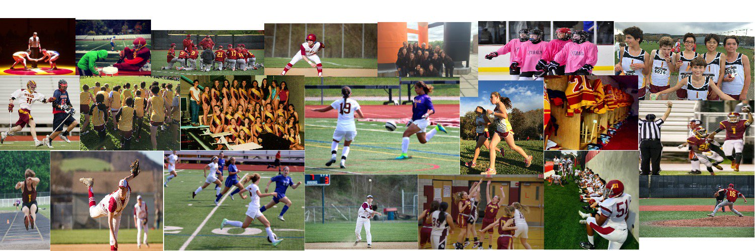 Ithaca LilRed Sports banner