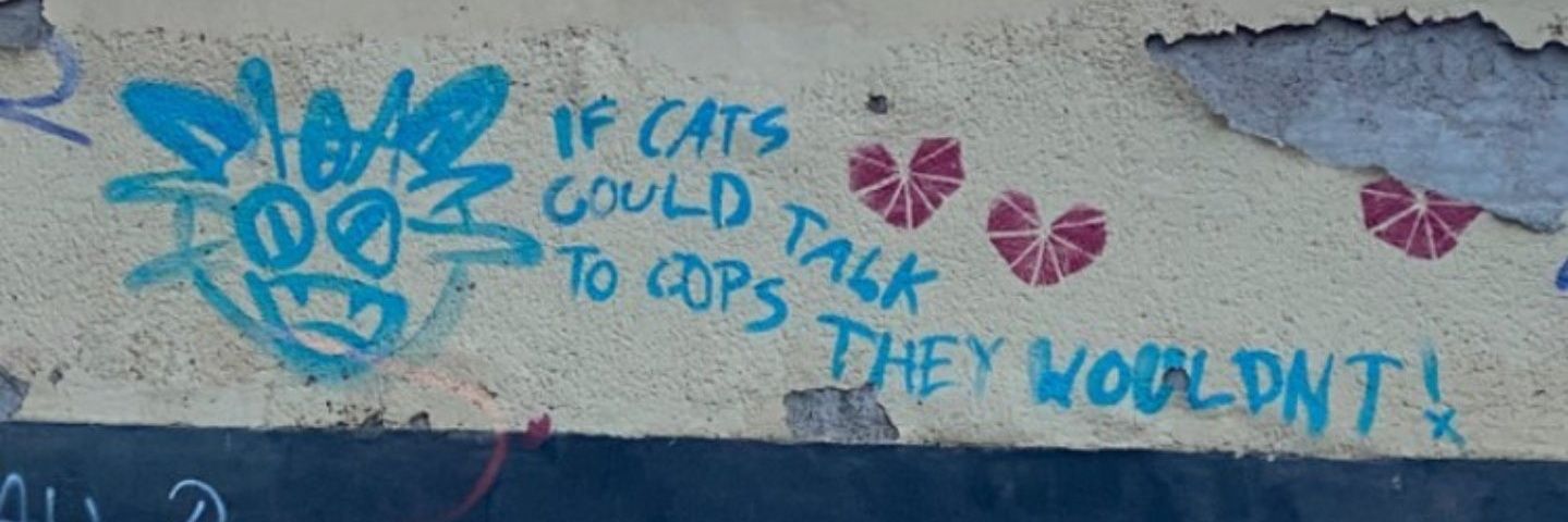 MoldyDolphin🐬🔆 banner