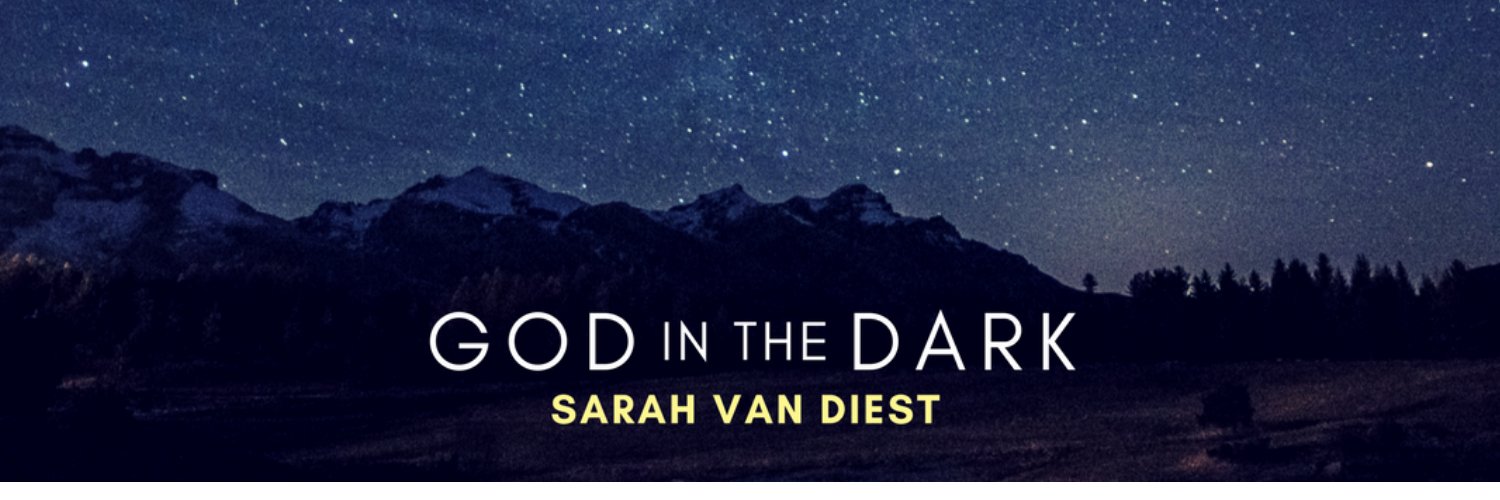 SarahVanDiest's profile banner image