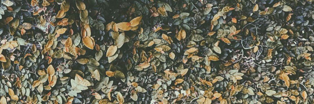 andy_tonny's profile banner image