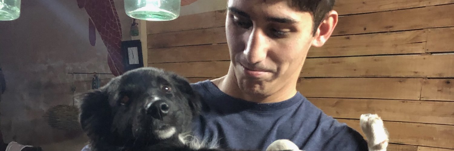 pedrodigiacinti's profile banner image