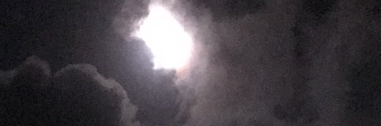 popapimienta's profile banner image