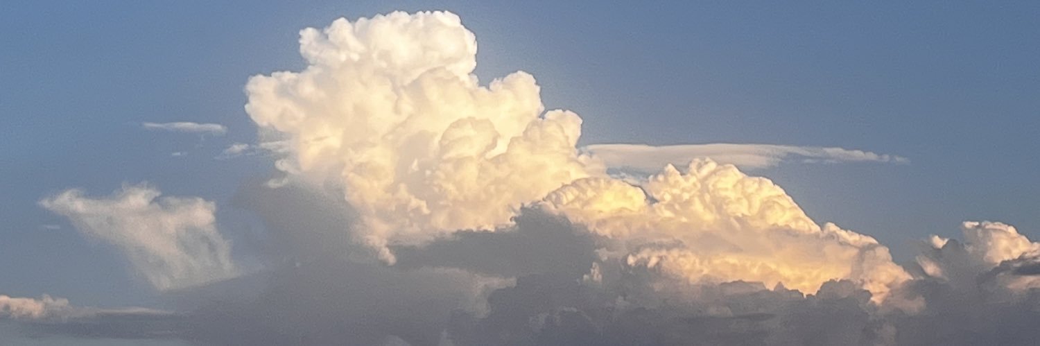 PheeniBeanie's profile banner image