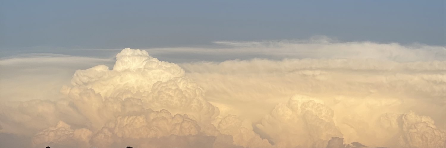 Nulalamri's profile banner image