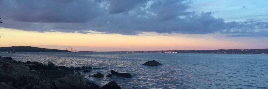 Major Monotone banner