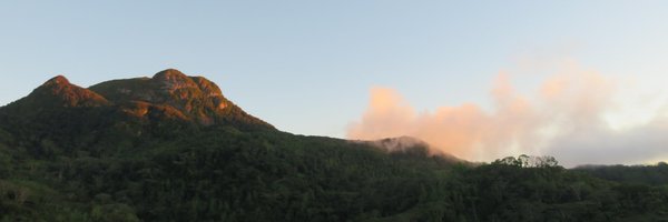 sara_mmendes Profile Banner