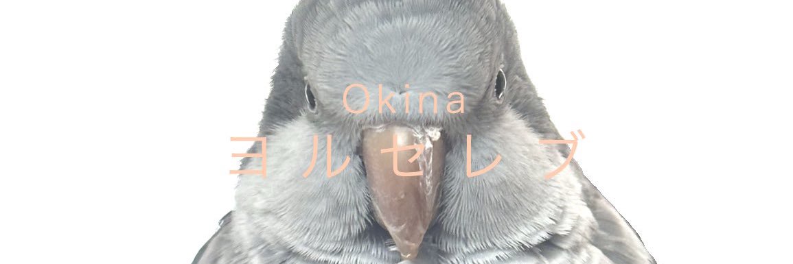 ﾊｯﾋﾟｰ🙌ｻﾏｰ🌻🍹はとばんぬ((🐦))'s banner