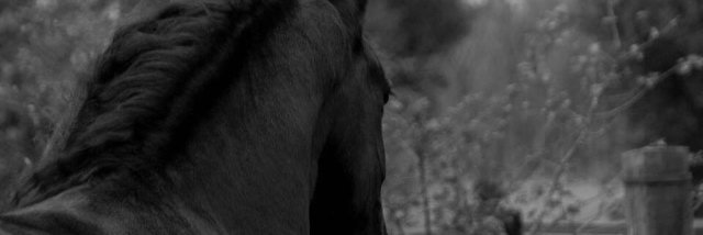 n_ateeu's profile banner image