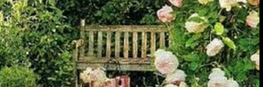 hlazhmd's profile banner image