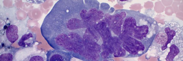 MinaXu7 Profile Banner