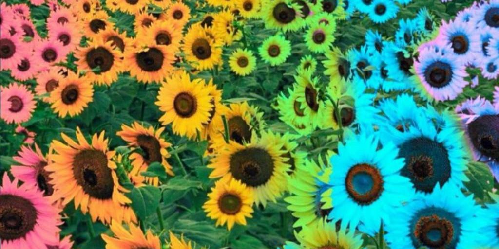 PaigeBaron1's profile banner image