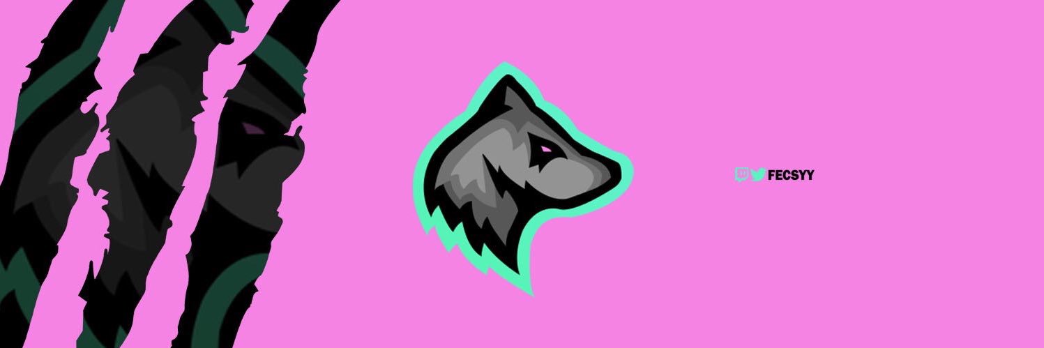 FecsyDGN's profile banner image