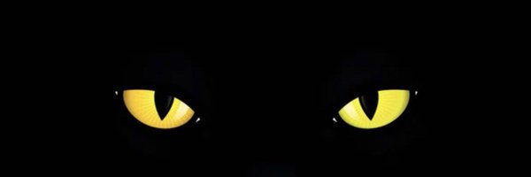 masterofmemez Profile Banner