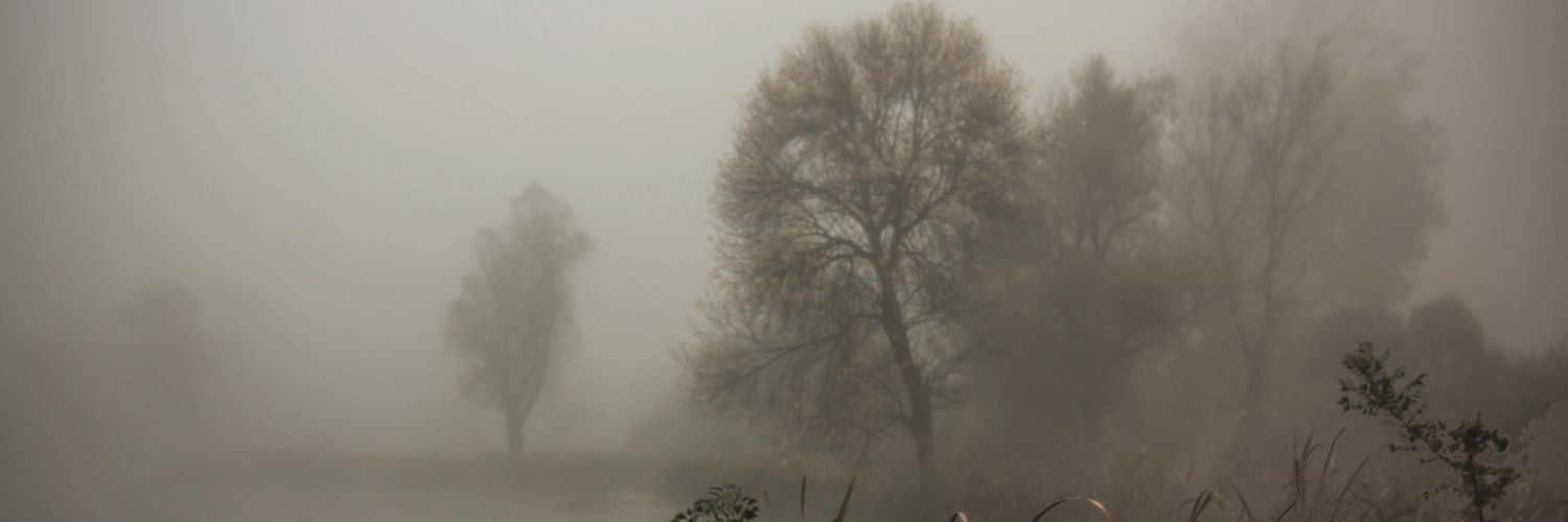 hpontomudis's profile banner image