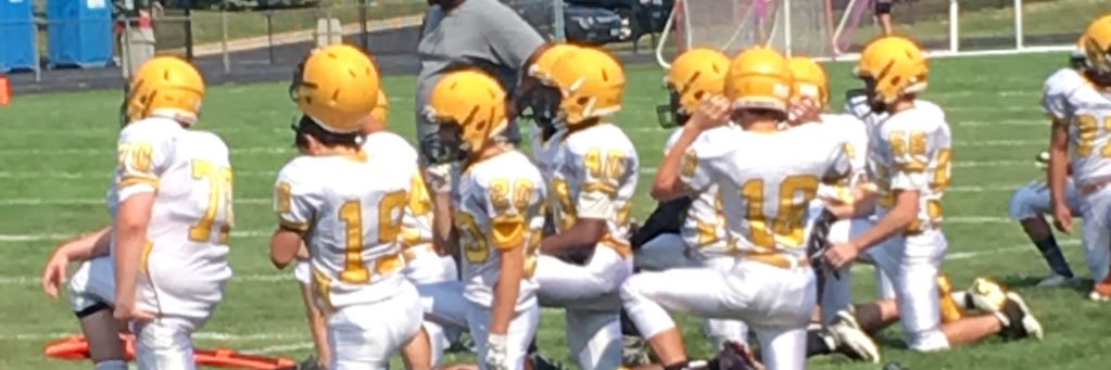 Denise Cushaney banner