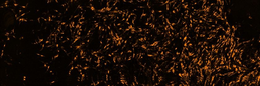 Biki_B's profile banner image