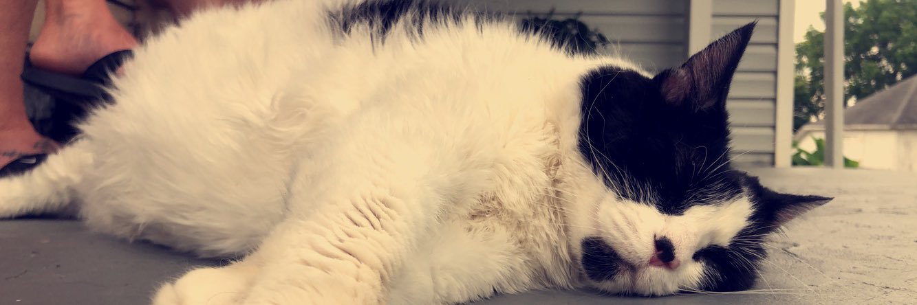 abbyehrenborg22's profile banner image