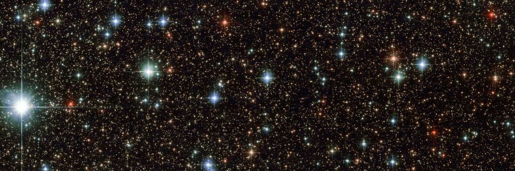 Coach Anderson banner