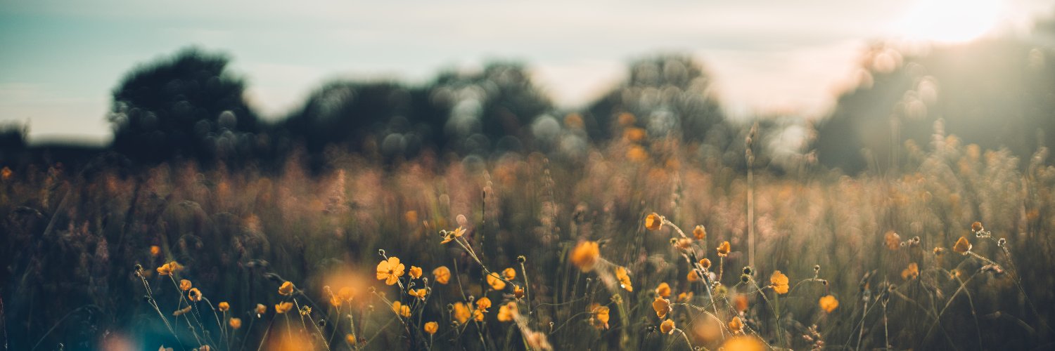 netzNRW's profile banner image