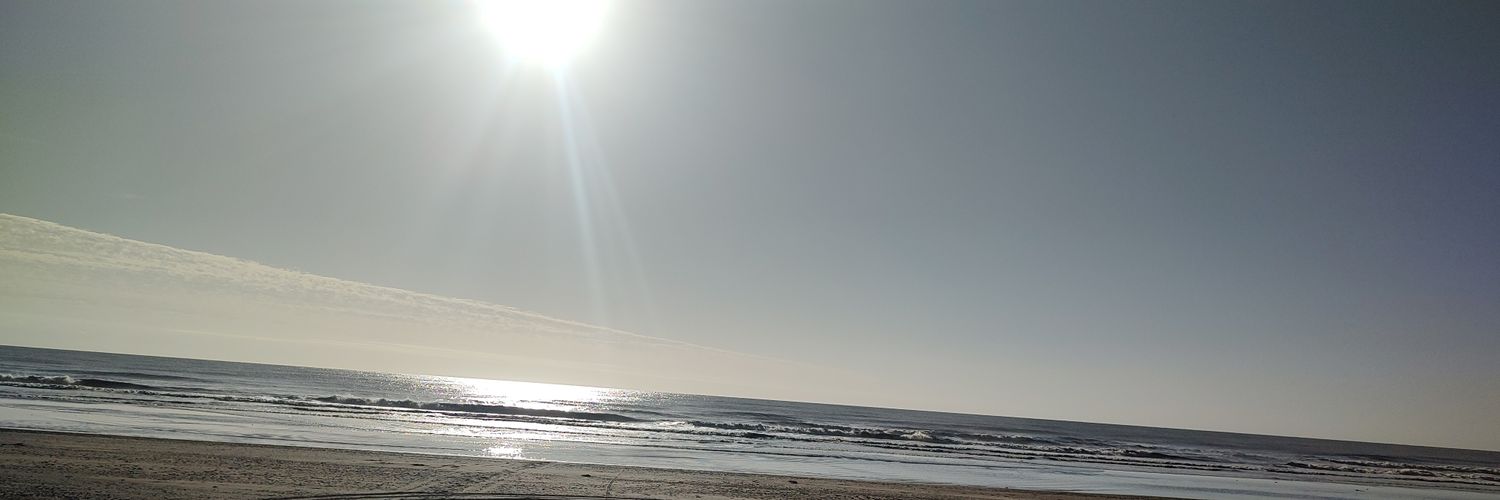 nannisalinas's profile banner image