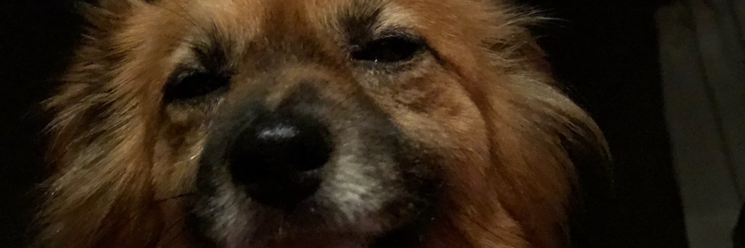 ConnorHig's profile banner image