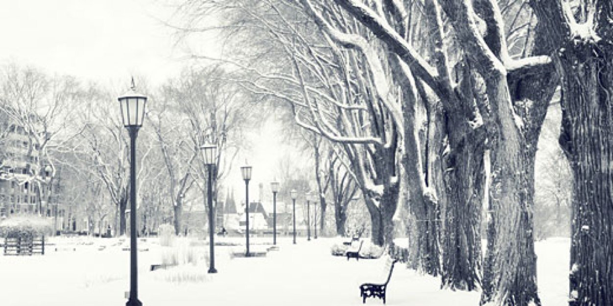 Faith_Anne98's profile banner image