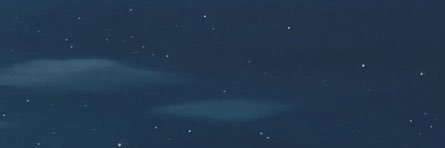 ぽちこ banner