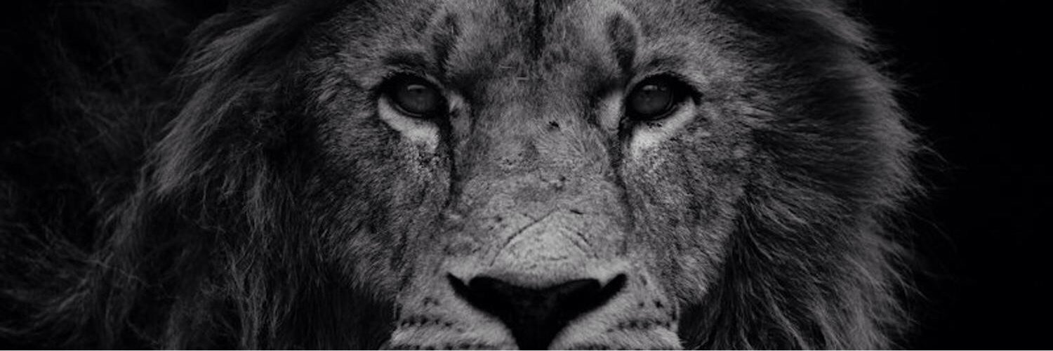 SasSowden's profile banner image