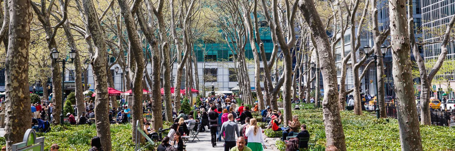 Dan Biederman banner