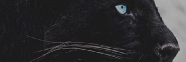 SerdarhanD's profile banner image