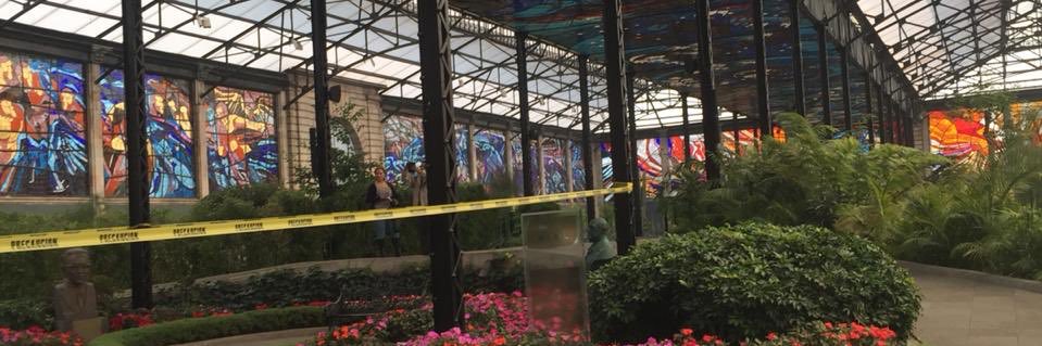 paolachocron's profile banner image