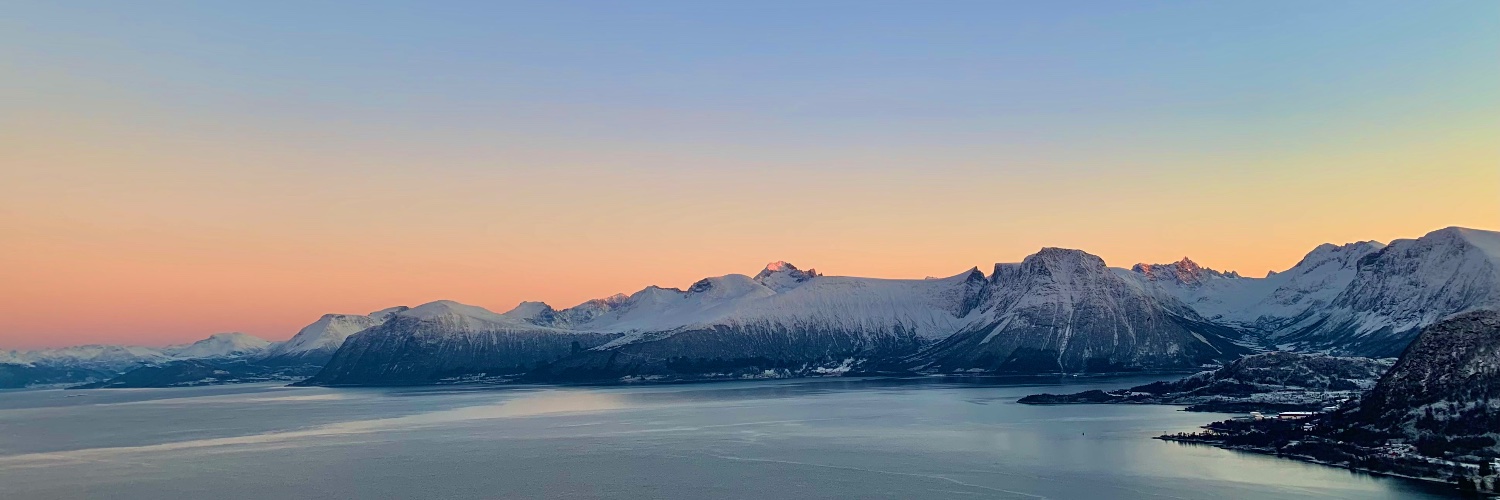 Erlend Friestad 🇺🇦🇳🇴 banner