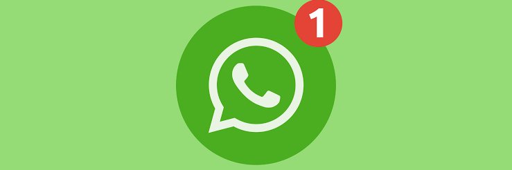 Bomba wpp ⚪ banner