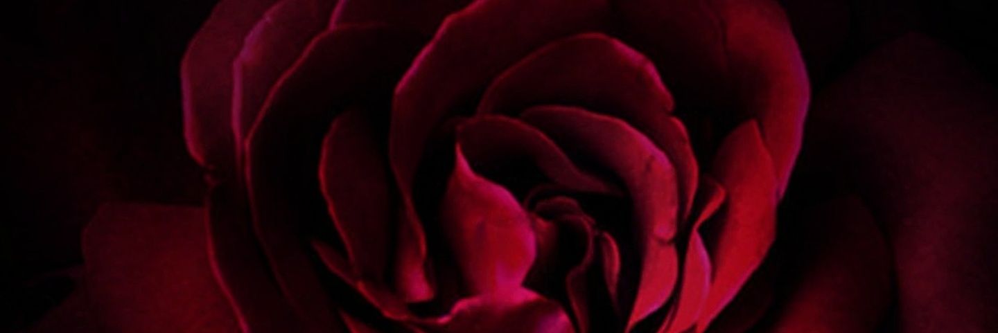 Quis_92_'s profile banner image