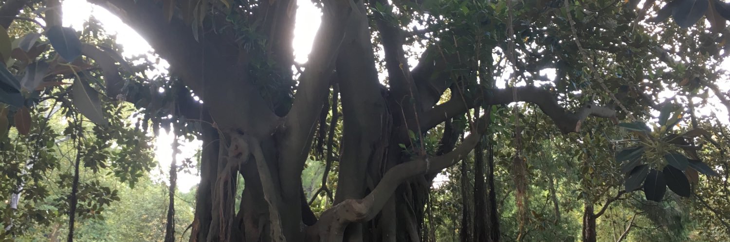 Asthaa Chaturvedi banner