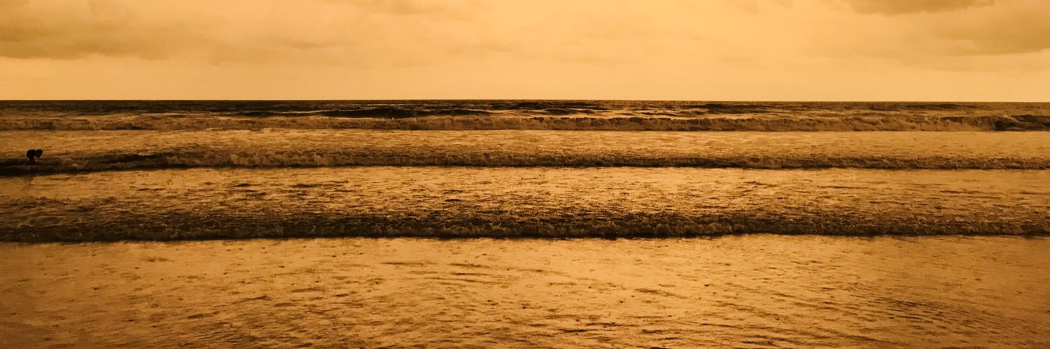 prashantbhayani's profile banner image