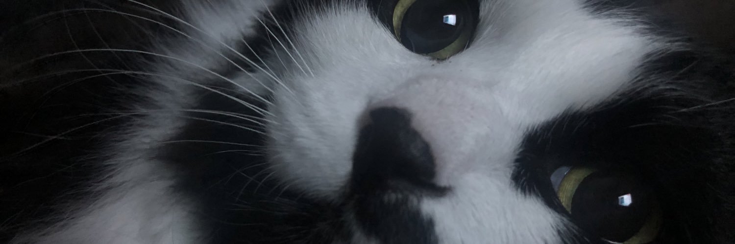 とろろん banner