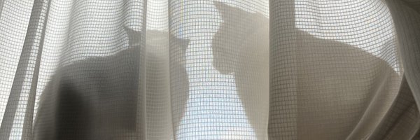 superdemio5 Profile Banner