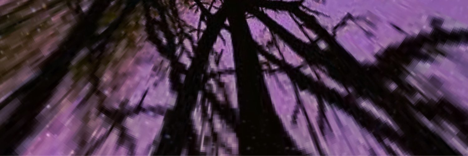 psykiska's profile banner image