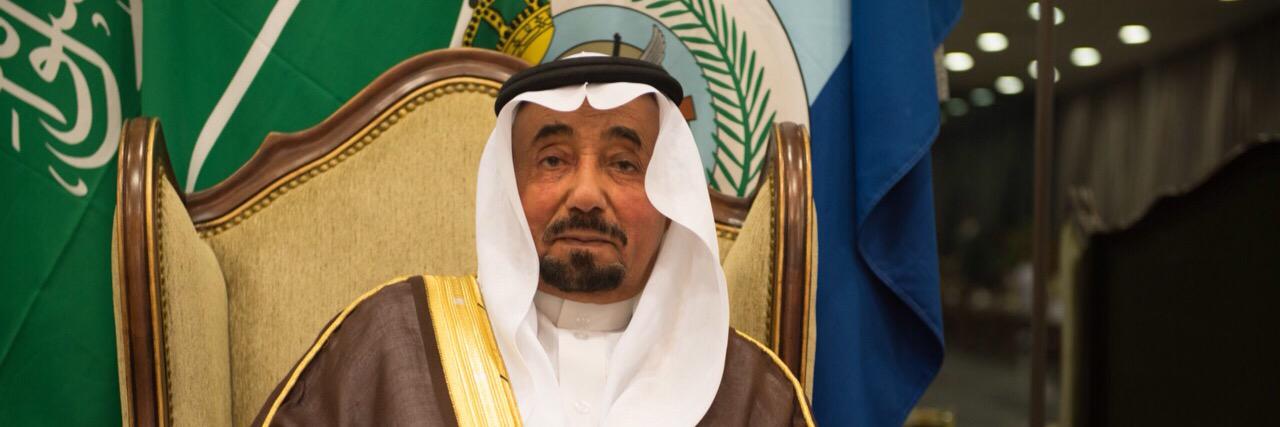 Sarah Al-Ameri banner