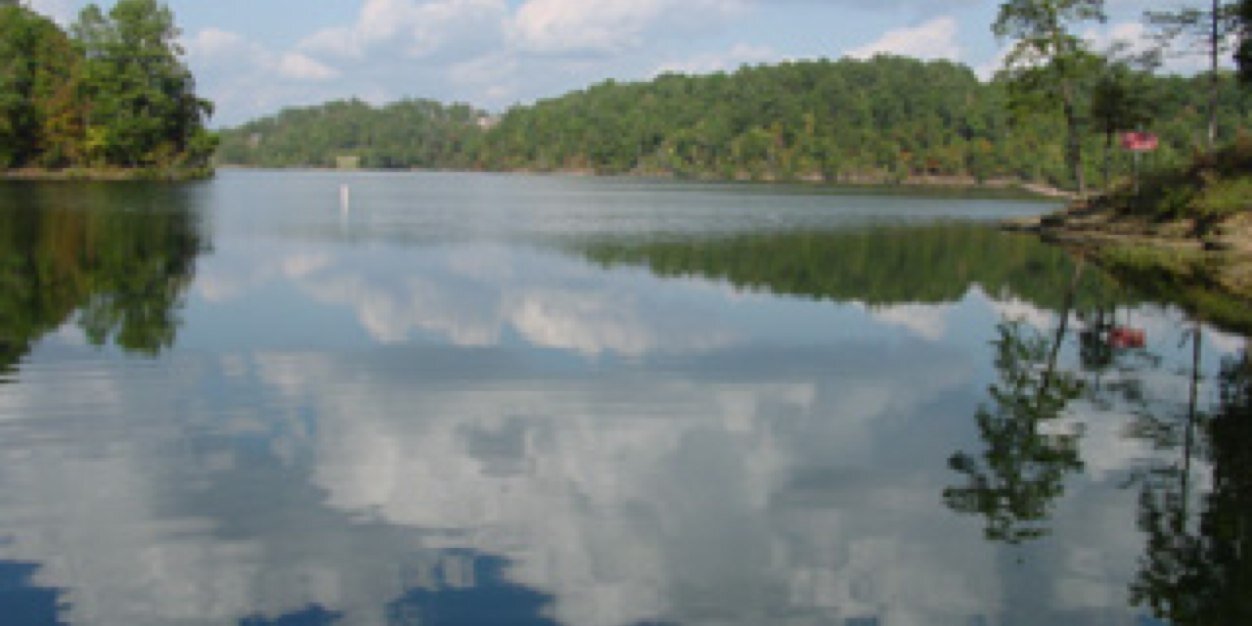 Scott Perry banner