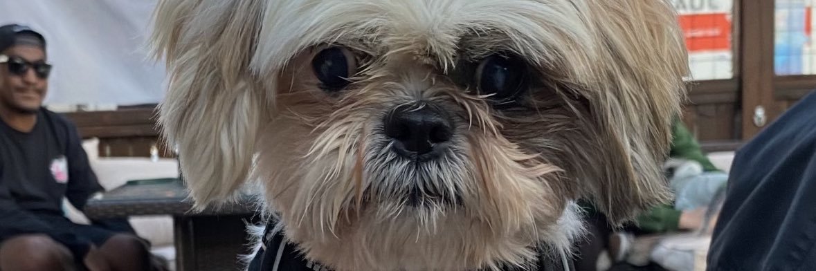 Angelgmz69's profile banner image