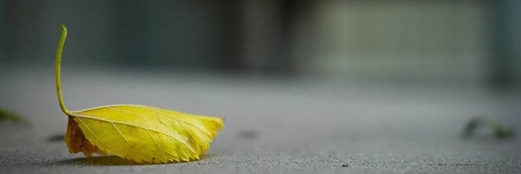 analysehennings's profile banner image