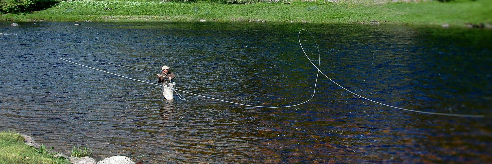 Ballogie Estate banner