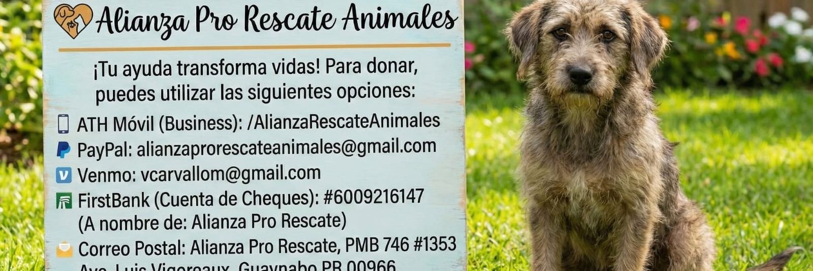 Alianza Pro Rescate banner
