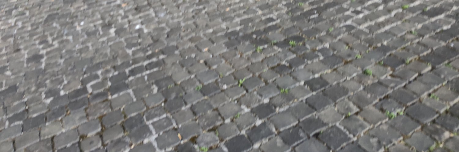 frabiagiotti's profile banner image